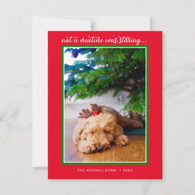 HOLIDAY PHOTO | Not A Creature Was Stirring Card (Front)