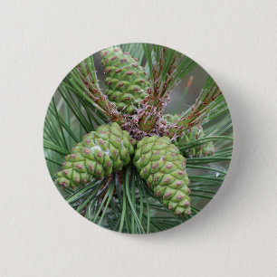 Holiday Pine Cones 6 Cm Round Badge