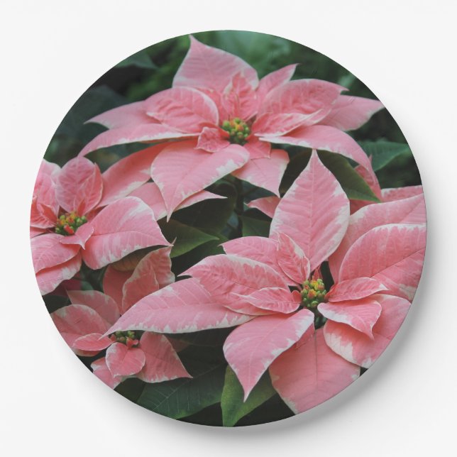 Holiday Poinsettia Paper Plates (Front)