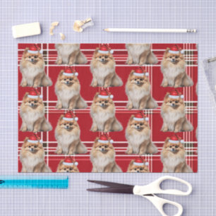 Holiday Pomeranian Dog Red Plaid Christmas Tissue Paper