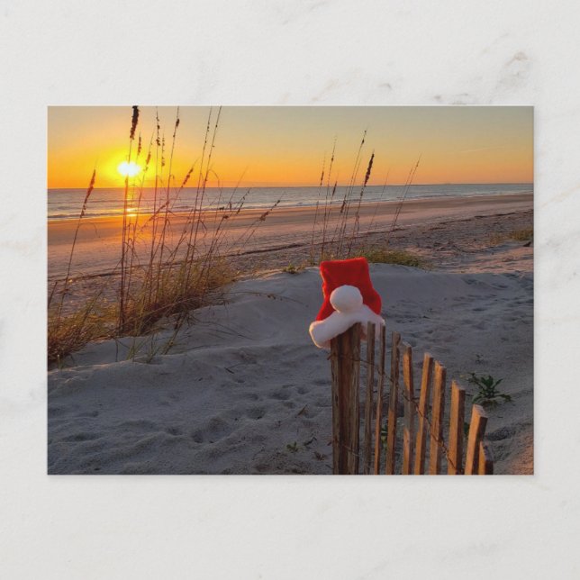 Holiday post card of beach scene Amelia Island (Front)