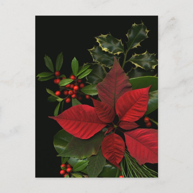 Holiday Postcard (Front)