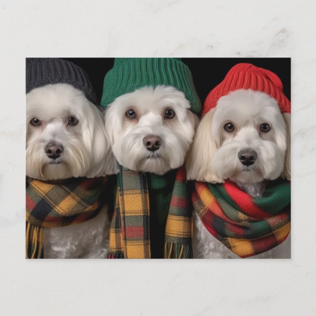 Holiday Pups Invitation Postcard (Front)