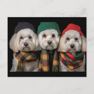 Holiday Pups Postcard
