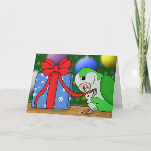 Holiday Quaker Parakeet Christmas Card