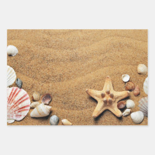 Holiday Seashells Beach Wrapping Paper Sheet