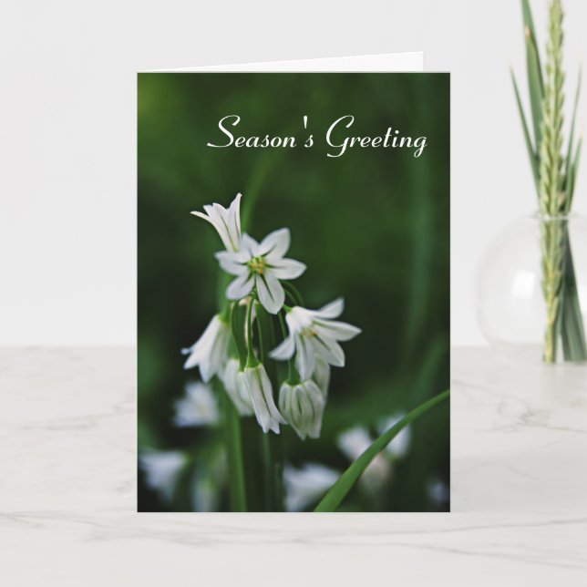 Holiday Season Greeting Cards - White Floral Card (Front)