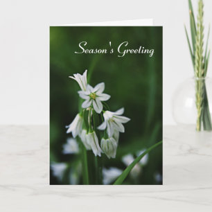 Holiday Season Greeting Cards - White Floral Card