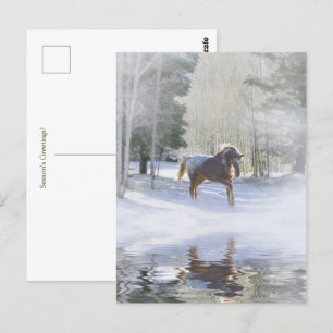 Holiday Seasons Greetings Horse in Snow Postcard