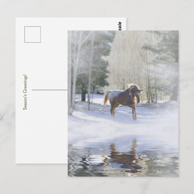 Holiday Seasons Greetings Horse in Snow Postcard (Front/Back)
