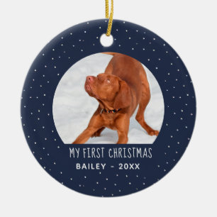Holiday Snow My First Christmas Pet Blue Ceramic Tree Decoration