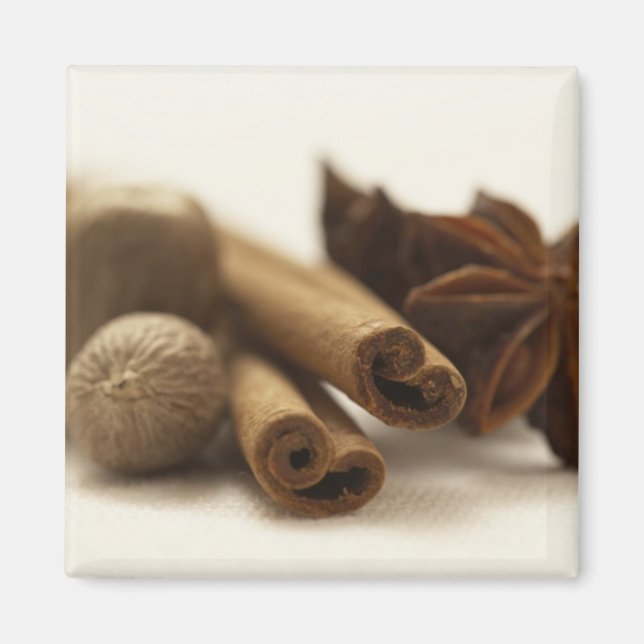 Holiday Spices Magnet (Front)