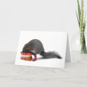 Holiday Squirrel Card