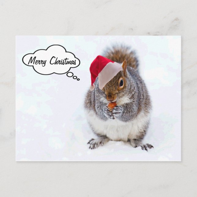 Holiday Squirrel Postcard (Front)