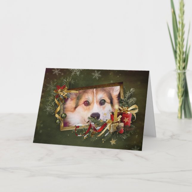 Holiday Tricolor Corgi Peeking (Front)
