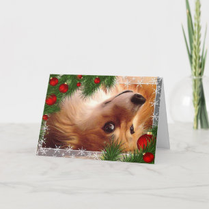 Holiday Welsh Corgi Fluff with Red Bulbs Card