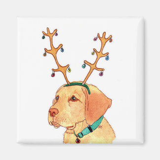 Holiday Yellow Lab Magnet