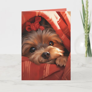 Holiday Yorkshire Terrier Card
