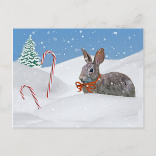 Holidays, Bunny Rabbit in Snow Holiday Postcard