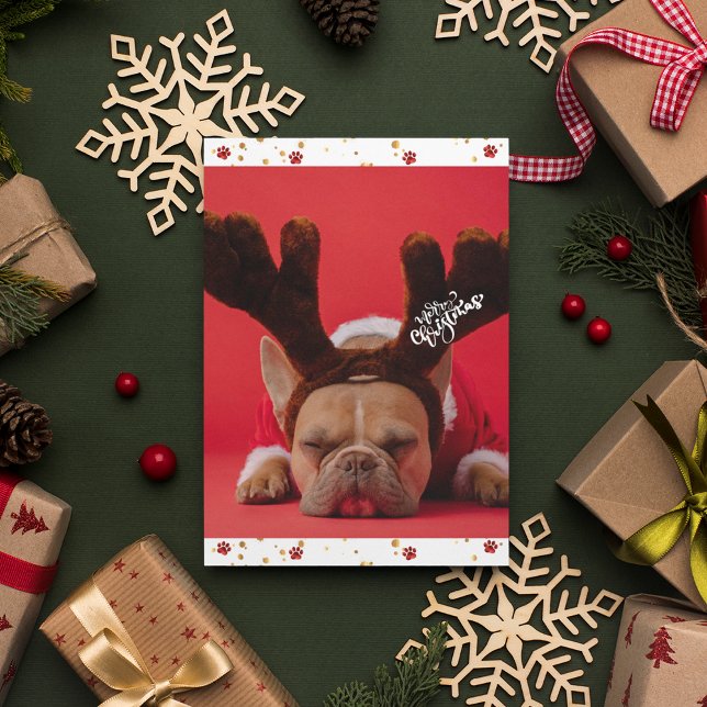 Holidays French Bulldog Cute Dog Christmas Holiday Card (Front)