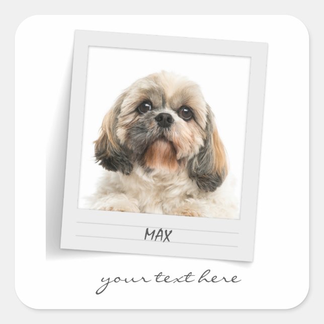 Holidays Pet Birthday Photo Frame Personalised Square Sticker (Front)