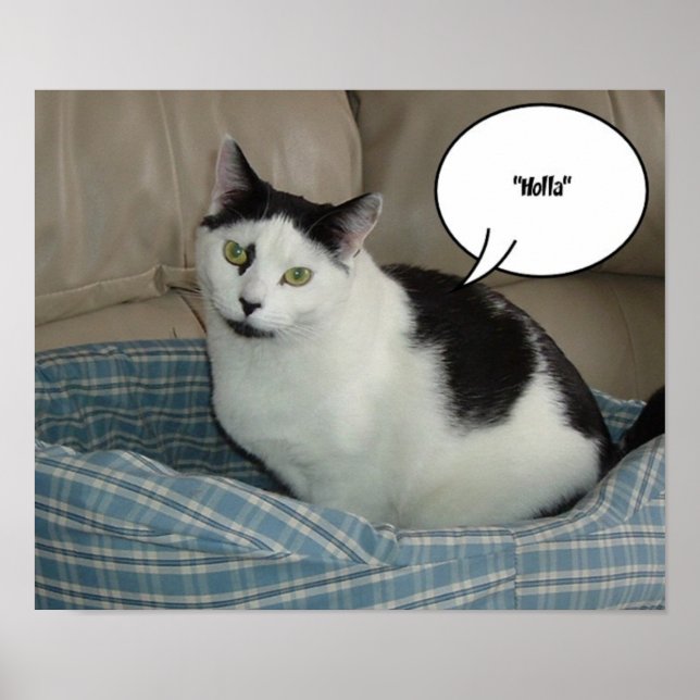 Holla!/Hello Poster (Front)