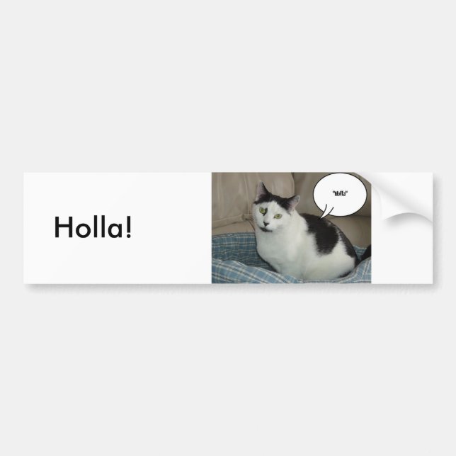 Holla /Raise the Roof! Hello Bumper Sticker (Front)
