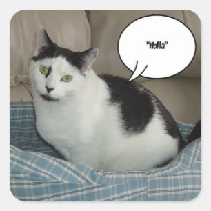 Holla Square Sticker