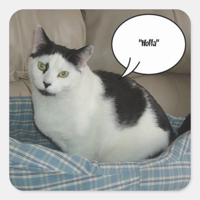 Holla Square Sticker (Front)