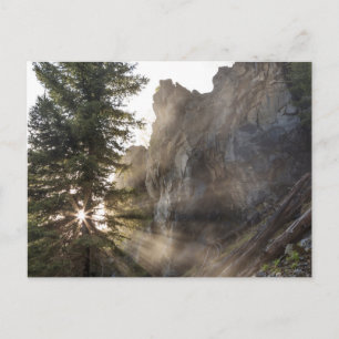 Holland Falls Lolo National Forest, Montana Postcard