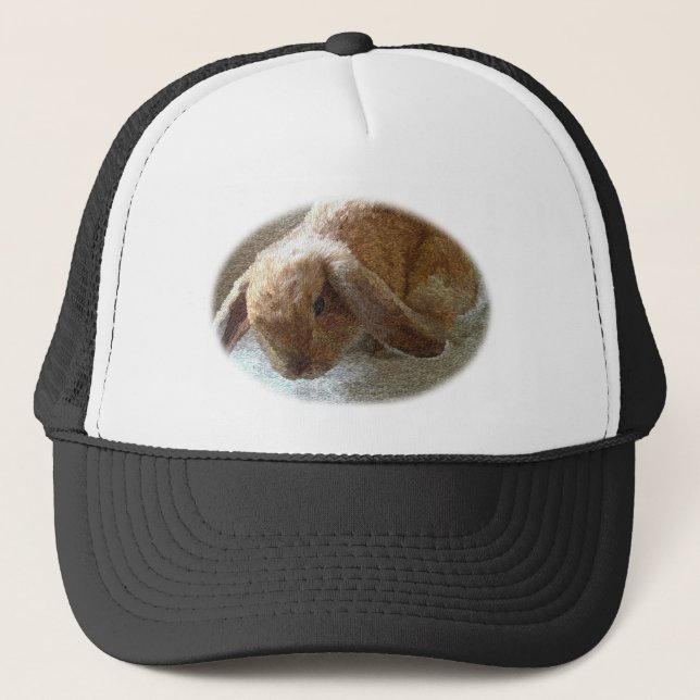 Holland Lop Eared Rabbit Hat (Front)