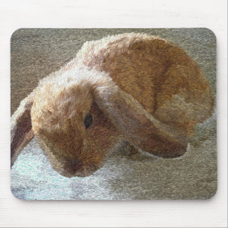 Holland Lop Eared Rabbit Mouse Mat