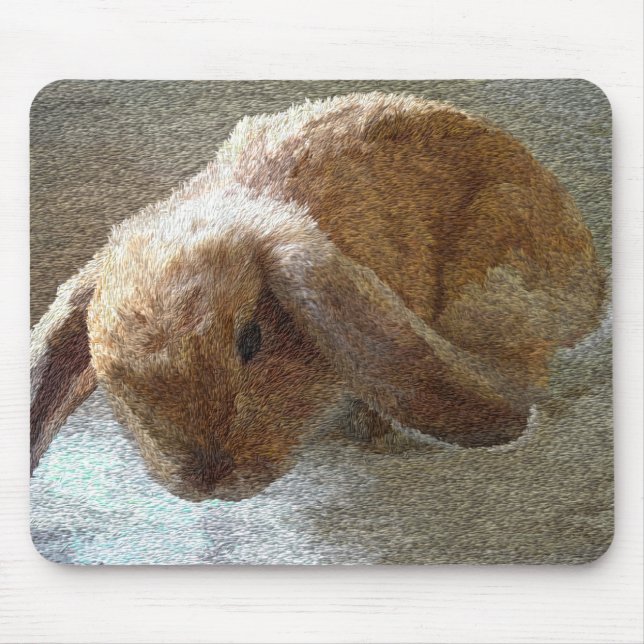 Holland Lop Eared Rabbit Mouse Mat (Front)