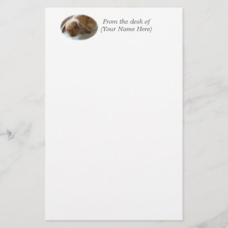 Holland Lop Eared Rabbit Stationary Stationery