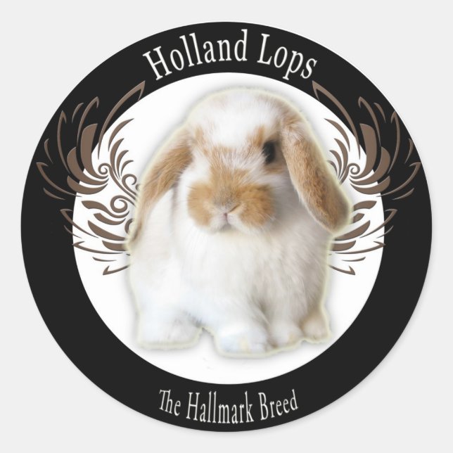 Holland Lop Stickers (Front)
