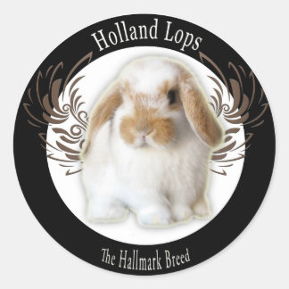 Holland Lop Stickers