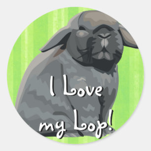 Holland Lop Stickers