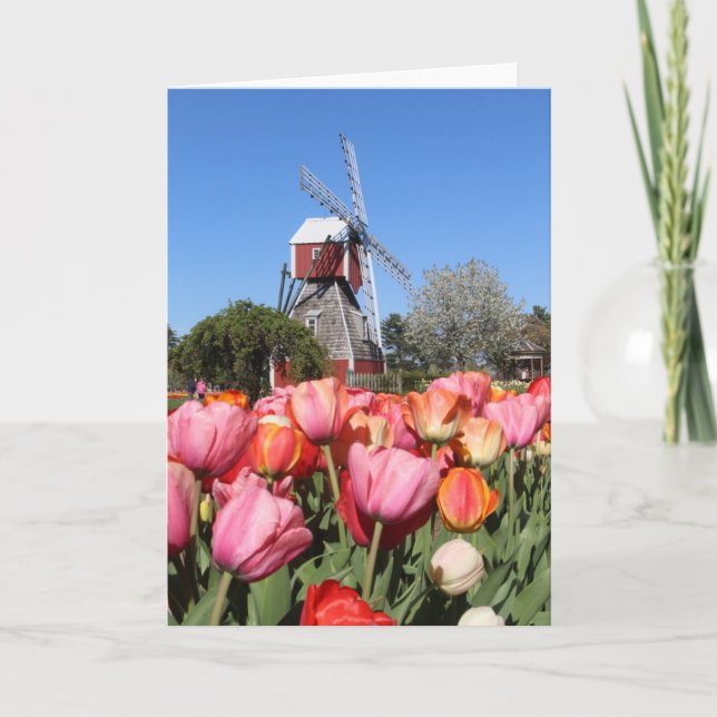 Holland, Michigan, card (Front)