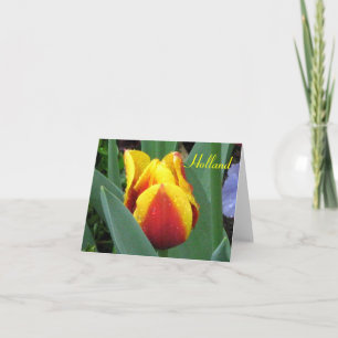 Holland, red and yellow tulip note card