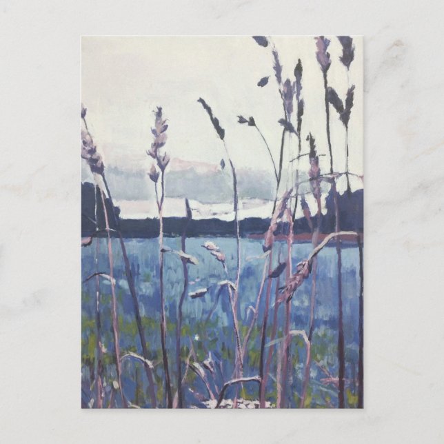 Holland SeaGrasses Postcard (Front)