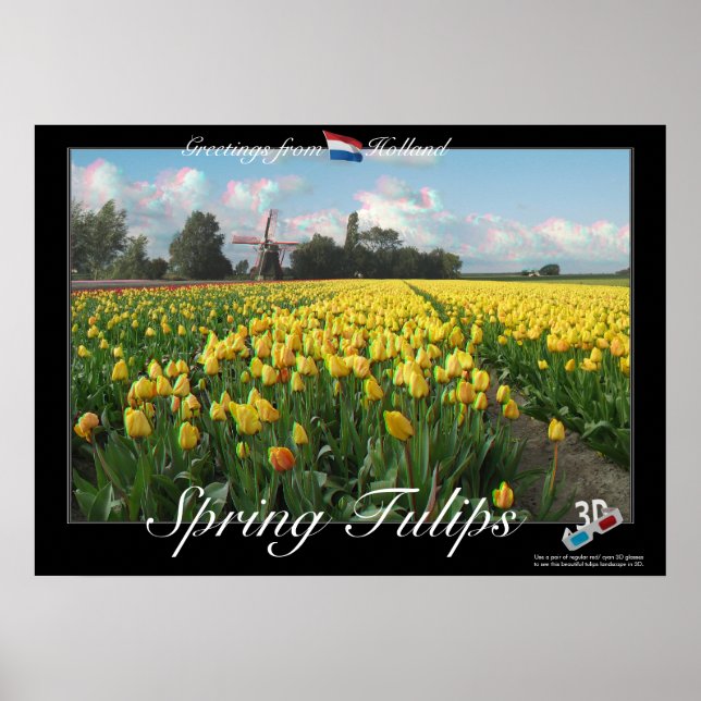 Holland Spring Tulips Landscape 3D Anaglyph Poster (Front)