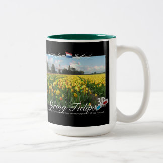 Holland Spring Tulips Landscape 3D View Anaglyph Two-Tone Coffee Mug