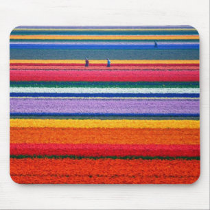 Holland, Tulip fields Mouse Mat
