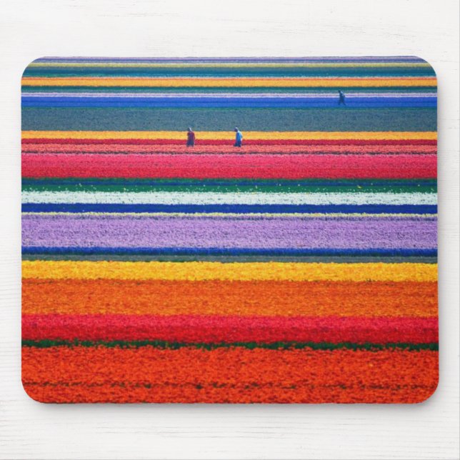 Holland, Tulip fields Mouse Mat (Front)