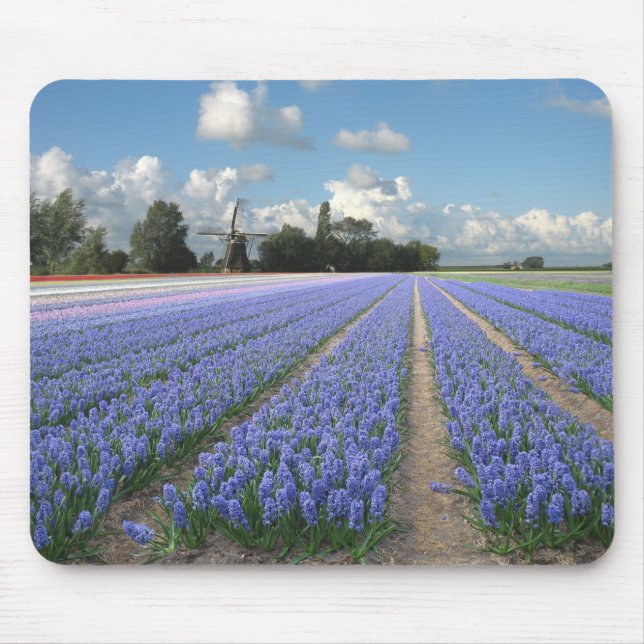 Holland Windmill Hyacinths Mouse Mat (Front)
