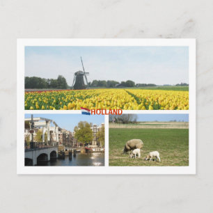 Holland Windmill Tulips Amsterdam Dutch Landscape Postcard