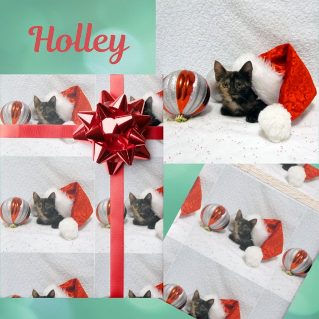 Holley's Christmas - Torti Cat Christmas  Wrapping Paper (Creator Uploaded)