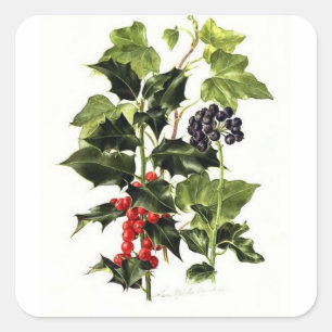 holly and ivy design Christmas Square Sticker