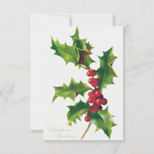 Holly And Seasons Greetings Invitation