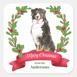 Holly Banner Bernese Mountain Dog Christmas Square Square Sticker